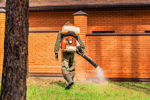 Trusted Bed Bug Control service in Thorntown, IN - Nex Pest Control